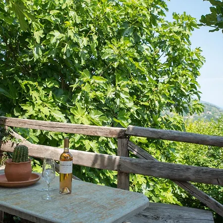 Hestia Apartamento *