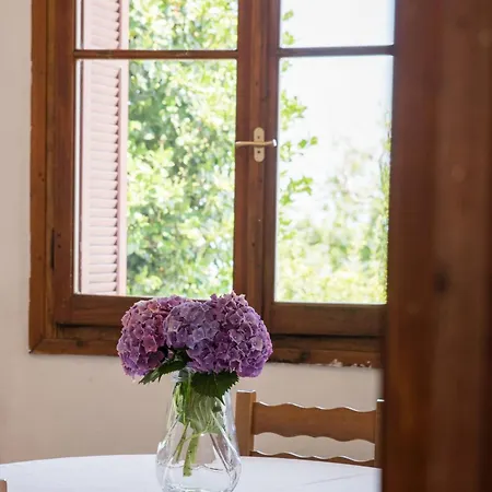 Apartamento Hestia Mourésion