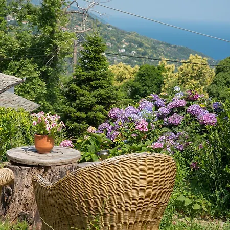 Hestia Apartment Mouresi